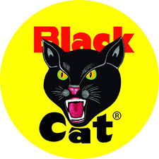 Black cat